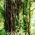 Diário de uma viagem à Costa Rica - dia 7